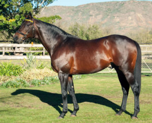 Silvano